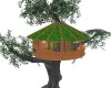 Big Tree House