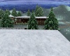 {LS}Snowy Mountain Home