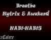 Breathe - Nytrix & Awake