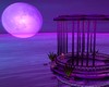 purple sunshine moon