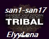 Sanders van Doorn-Tribal