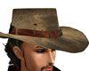 Snake Band Cowboy Hat
