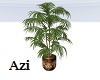 Restaurant VIP plant