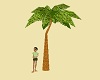 Palm Tree V2