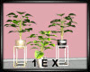 1EX MV Plant Set