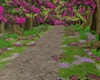 Forest road