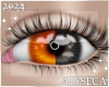 Ⓐ Jack-O Eyes 2-toned