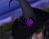 Wicked Witch Hat