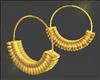 Gold Ringed Hoops