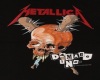 (SMR) Metallica Pic21