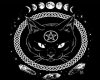 occult cat hoodie M