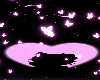 Kitty BG ♡ 7