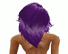 Wild Purple  Hair