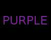 No Conflict Purp Outline