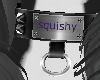 Squishy's collar only