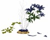 Blue Trioical Plant