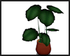 Rustic Plant Pot V2 ~
