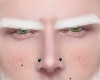 Rk| Eyebrows Albino Xec