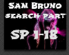 S. Bruno -Search Party