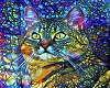 Cat Art 2