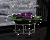 AV Violet Pot