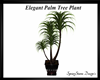 Elegant Palm Tree Plant
