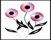 Animated Pink Flowers