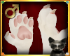 |LB|MaineCoon Claws M