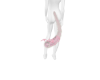 pink plaid kitty tail