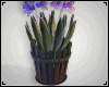 Flower Pots 3