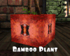 *Bamboo Plant