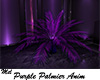 Purple Palmier Anim