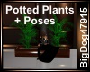 [BD] PottedPlant+Poses
