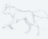 Running Sketched Wolve