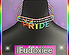 🌈Show Pride Choker