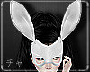 -チャ- Bunny Ears Wht