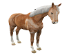 Petting Pose Horse
