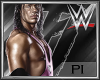 PI: Bret Hart Outfit
