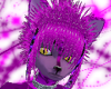 Cheshire Kitty Fur [M]