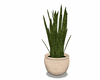 potted plant v2
