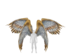 (7K)GoldWhite DoubleWing