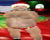 Santa Clause Animated Sleigh Reindeers Flying Christmas