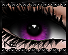[Nz] Lilac Eyes *Left