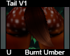Burnt Umber Tail V1