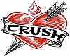 "Crush" Jacket