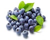bluberi 100