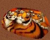 tiger rug with pose