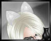 [CS] Snow Cat Ears