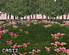 Tulips Park Photoroom