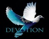 Dove Devotion